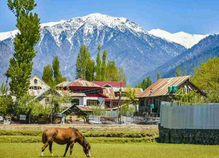 6 Days Kashmir Tour