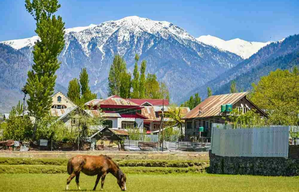 Handpicked twin-sharing deluxe rooms
