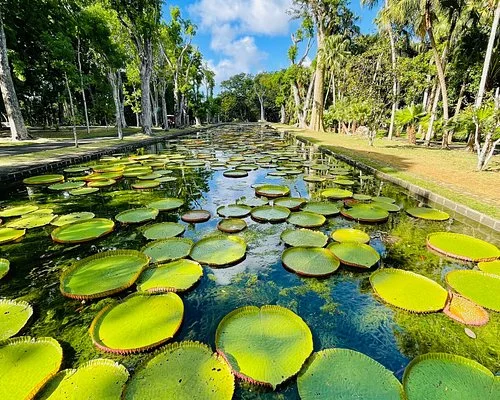 7 Days Mauritius Tour
