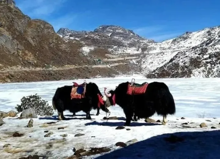 6 Days Gangtok Darjeeling Tour