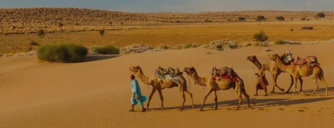 Thar desert, Rajasthan